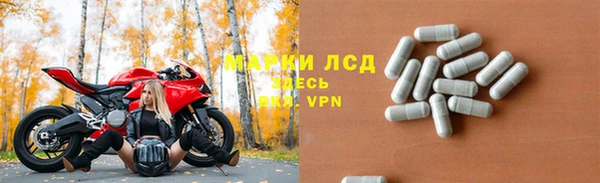 винт Алзамай