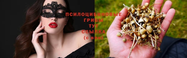 mdpv Алексеевка