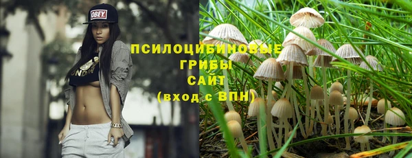 mix Алексин